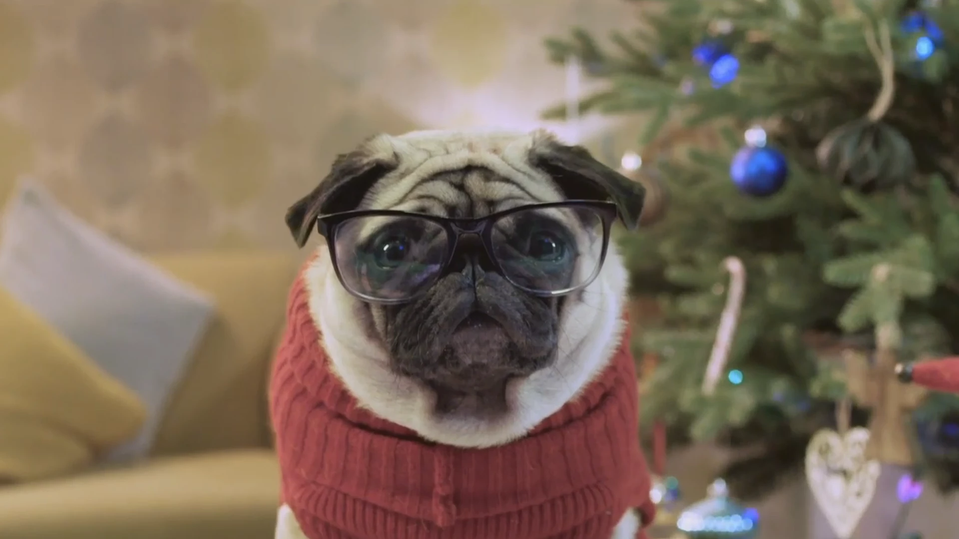 Chi salverà il Natale? Arriva il nuovo spot natalizio di Vision Direct