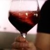 Burocrazia, contraffazioni, vigneti: finalmente il vino ha la sua legge