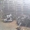 A Bisceglie il cimitero delle auto rubate, in una serra l'officina per farle a pezzi