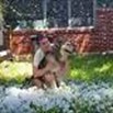 Usa, l'ultima neve di Spunky: il regalo di Ashley al suo cane malato